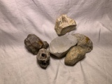 Group of fossil rocks