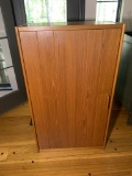 Danish Teak Mid-century Modern Cabinet