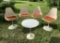 Mid Century Modern Knoll Tulip Table & 4 Unbranded Chairs.