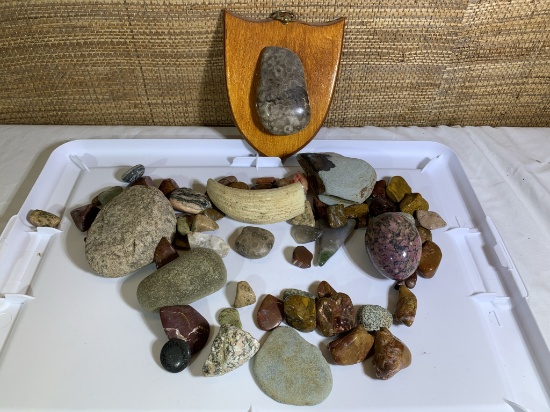 Collection of Rocks, Polished Rocks and a Piece of Bone.