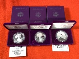 3 American Eagle One Ounce Proof Silver Bullion Coins