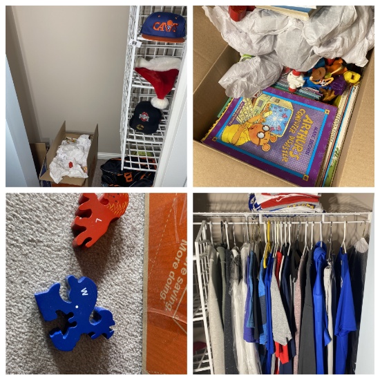 Closet contents lot
