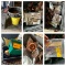 Bucket, Oil Pan, Tote, Electrical Items, Bins  (This lot does not include the rubber mats)