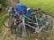 Group of 6 bicycles - Mostly Schwinn