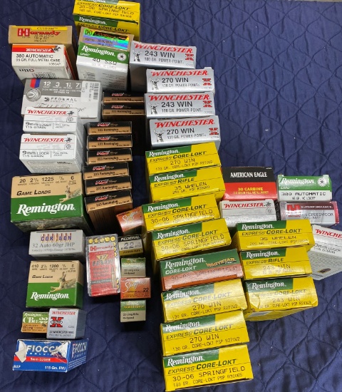 Large Lot of better Ammunition