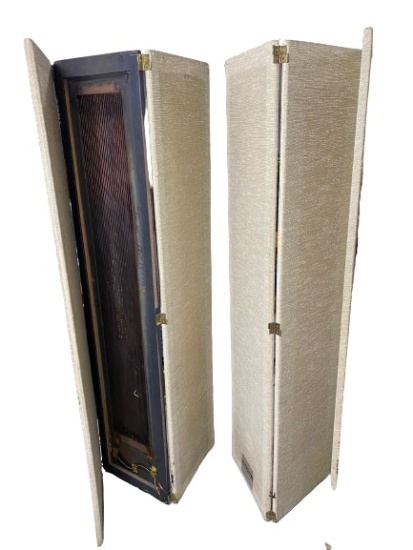2 Rare Room Divider Speakers