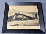 Tinted Lithograph Whaling Scene 1798 London