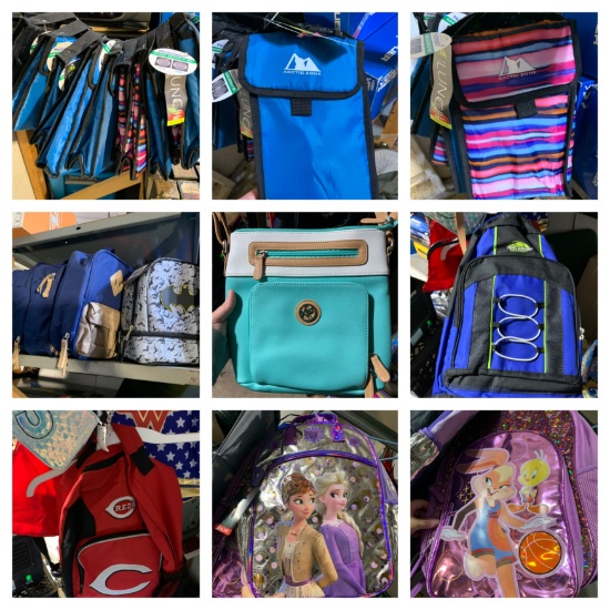 Great Group of New Lunchboxes, Puses & New Bookbags