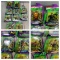 Group of Nickelodeon Teenage Mutant Ninja Turtle Figures