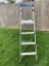 Cosco Step Ladder