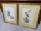 2 Vintage Signed Bird Prints