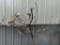 Metal Bird Tree (See Photos for damage, Leg has been broken off will need to be welded back on)