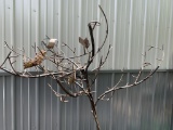 Metal Bird Tree (See Photos for damage, Leg has been broken off will need to be welded back on)
