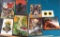 Group lot of 8 80s Movie, Fantasy Posters