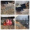 Dump Garden Cart, Scrap Metal, Saw Horses, Wheel Barrel, Gas Can & More