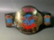WWE ECW World Heavyweight Wrestling Champion Belt 