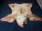 Vintage Very Large Taxidermy Grizzly Bear Rug
