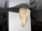Large Vintage Water Buffalo Skull Wall Mount