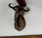 Vintage Blue Wildebeest Taxidermy Bull Mount