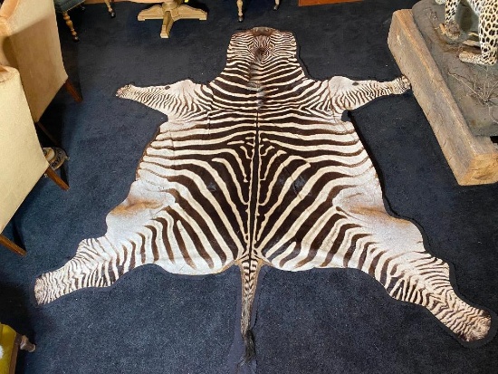 Large Vintage Zebra Hide Rug