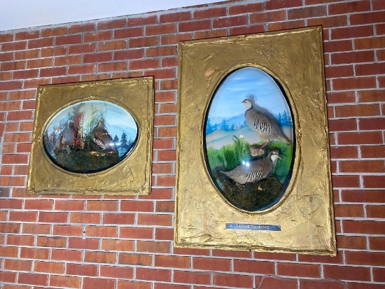 2 Kitschy Vintage Framed Taxidermy Bird Displays