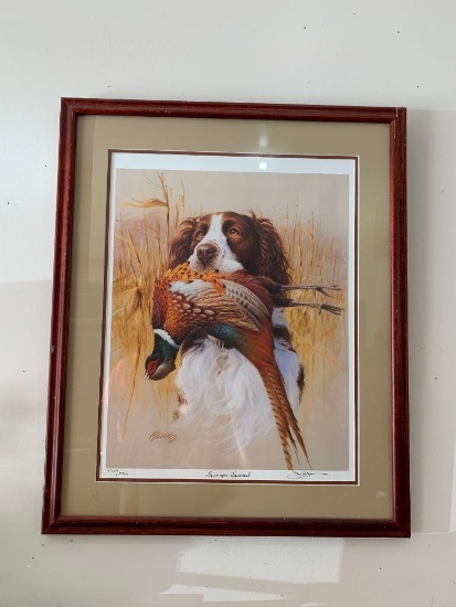 Signed & Numbered Springer Spaniel Framed Print