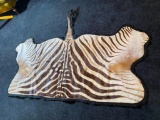 Vintage Zebra Skin Rug - Hind Quarters