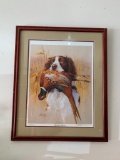 Signed & Numbered Springer Spaniel Framed Print
