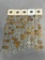 Vintage & Antique US Coin Lot