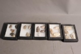 Great Group of Large Arrowheads in Display Boxes
