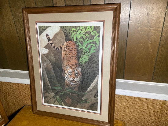 John A Ruthven Framed Print of a Bengal Tiger