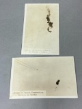 2 Rare Snapshot Photos Attack on German Observation Balloon WWI German