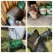 Law Food, Soil, Scotts Spreader & Earthwise Sweepit Push Mower