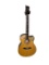 Paul Reed Smith SE Angelus Acoustic Guitar