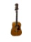 Washburn Acoustic Guitar (Cracked Top) with Case