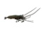 Early Japanese Articulated Metal Sculpture of Lobster - Signed