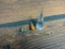 Lot of vintage 14k gold and gemstone jewelry 9.4 grams