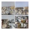 Very Large Group of Antique and Vintage Photos, CDVs, and Newer Photo Reprints