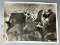 WWII Nazi German Press Photo - Atlantic Press Photo Service Berlin Photo
