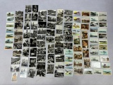 WWII Nazi German Cigarette Card Lot