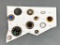 Group Lot Antique & Vintage Buttons 19th c. to Mid Century