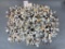 Large Lot of Bone, Shell Buttons, Natural Materials