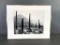 John Ward Photograph of Organ Pipe Cactus, Saguaros an Ajo Mountains, Print 10, 1978