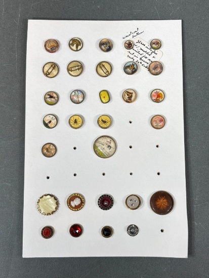 Group Lot Antique, Vintage Buttons Horses, Spiders, Under Glass