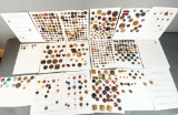 Very Large Lot of Wood, Vegetable Ivory Buttons and more