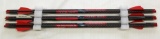 (6) Red Hot high performance crossbow arrows