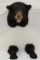 Black Bear shoulder mount with legs to appear as