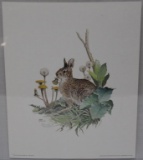 Rabbit by Ned Smith signed print, 1935/2500,
