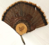 Turkey tail feather & beard mount, 29.5