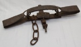 large toothed spring jaw hand forged bear trap,